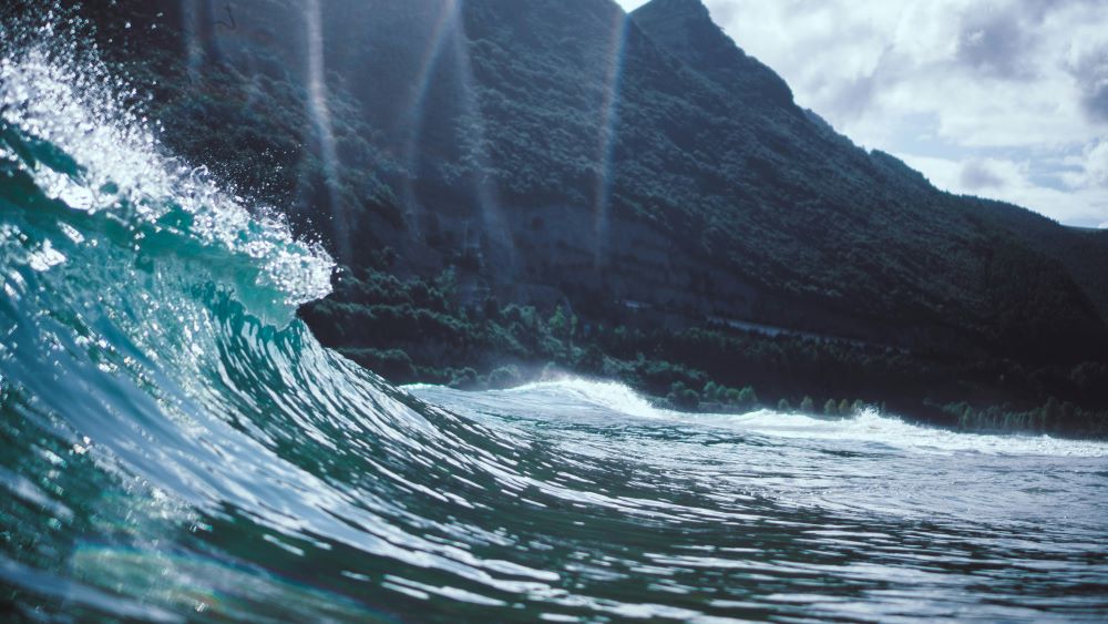 waves waves