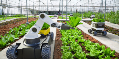 Agriculture tech - providing more food for less space and water.